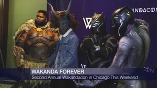 Festival inspired by ‘Black Panther’ Returns to Chicago