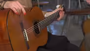Kalamazoo Classical Guitar