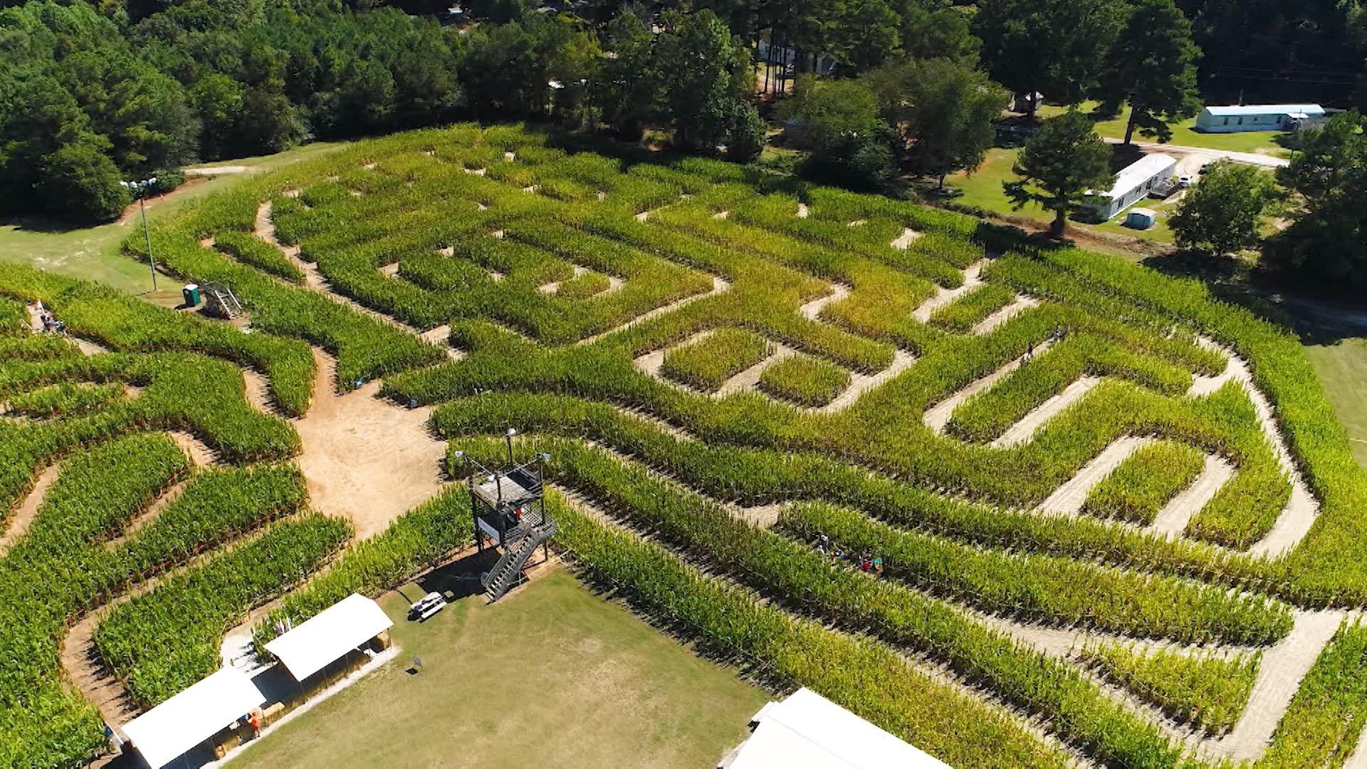 Ken's Korny Corn Maze