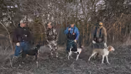 Squirrel Hunting with Dogs, Turkey Season, Controlling Invasive Plant Species