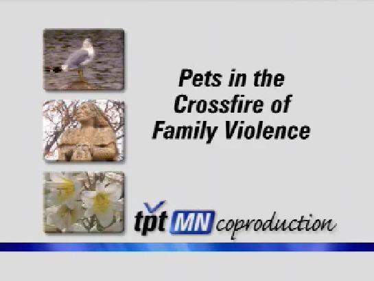 Pets In The Crossfire Of Family Violence