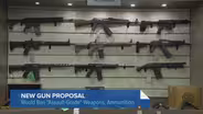 Illinois Lawmaker Proposes Assault Weapons Ban