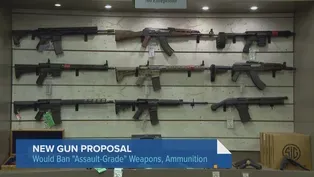 Illinois Lawmaker Proposes Assault Weapons Ban