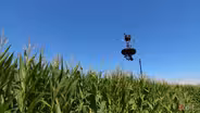 203: What If: Spider Cam