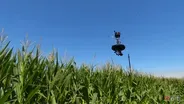203: What If: Spider Cam