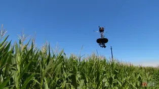 203: What If: Spider Cam