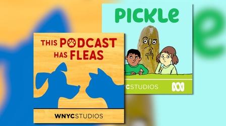 Video thumbnail: MetroFocus “PICKLES” & “FLEAS”
