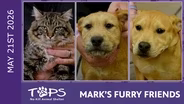 5/21/2026 | Drew, Liv and Lena | Mark's Furry Friends