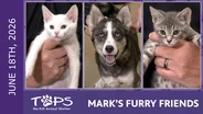 6/18/2026 | Tia, Mitzi and Lenox | Mark's Furry Friends