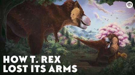 Video thumbnail: Eons How the T-Rex Lost Its Arms