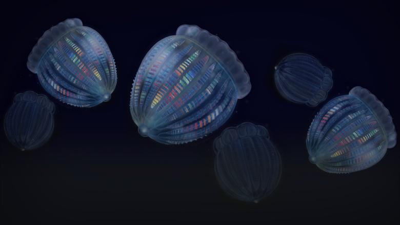 Eons Image
