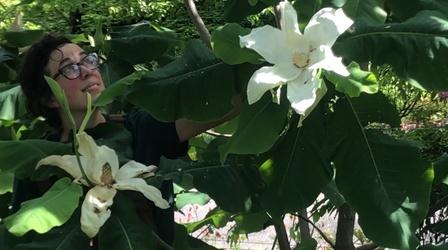 Video thumbnail: Camp TV Meera in the Discovery Garden