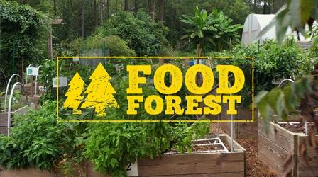 Video thumbnail: Georgia Outdoors Food Forest