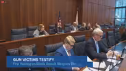 Illinois Lawmakers Consider Assault Weapons Ban