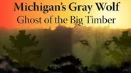 Michigan’s Gray Wolf: Ghost of the Big Timber