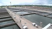 How the Metro Plant Works