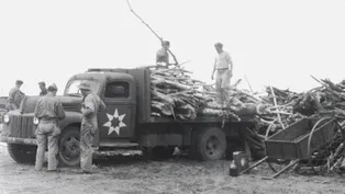 Held in Minnesota: Untold WWII POW Stories
