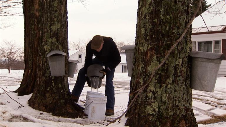 Thumbnail for America's Heartland Season 19 Episode 11