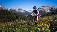 Wyoming Single Track