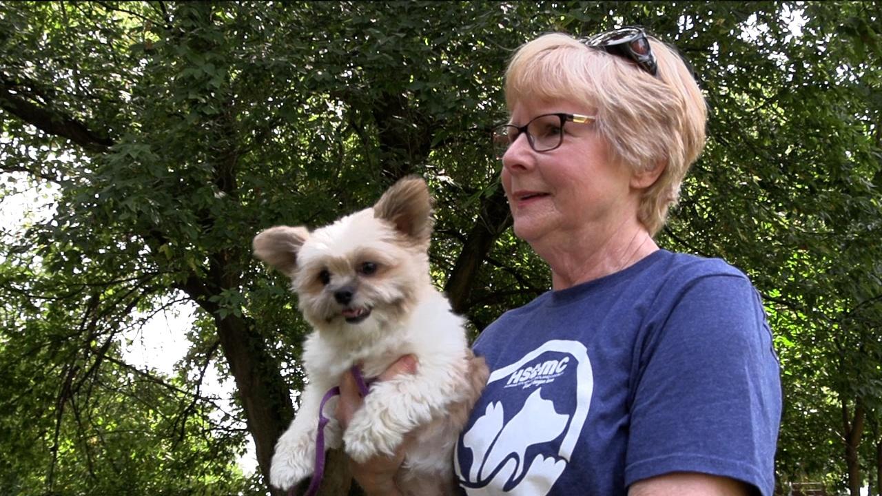 Second Act Pet Adoption for Seniors Season 16 Episode PBS