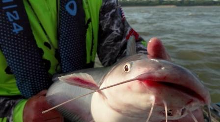 Video thumbnail: Kentucky Afield Catching Blue Catfish on the Ohio; Archery Hunt
