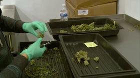 Video thumbnail: Chicago Tonight How the Legalization Debate is Playing Out Across the US