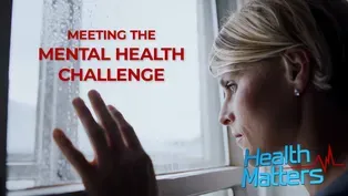 Meeting the Mental Health Challenge