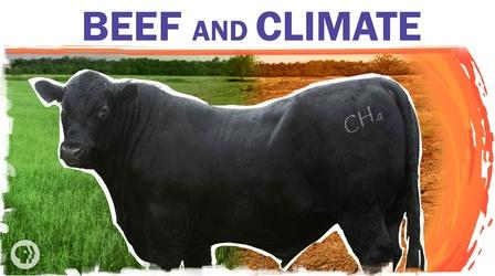 Video thumbnail: Hot Mess Beef Is Bad For The Climate. Can We Make It Better?
