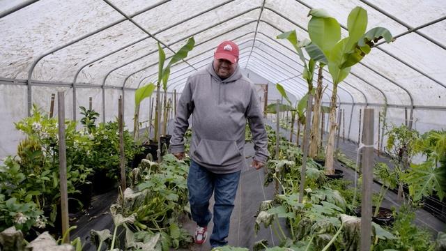 Agricultores