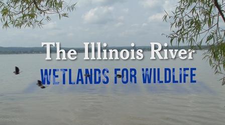Video thumbnail: The Illinois River S01 E02: Wetlands for Wildlife