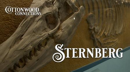 Video thumbnail: Cottonwood Connection History Makers - George Sternberg