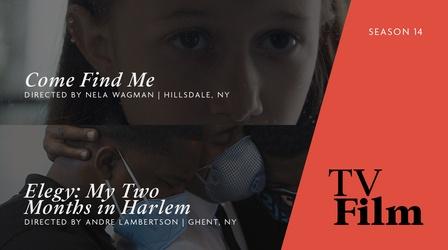 Video thumbnail: TvFilm Come Find Me | Elegy: My Two Months in Harlem: Preview
