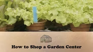 How to Shop a Garden Center