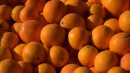 California Mandarins