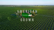 A Time To Grow