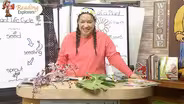 PK-344: Identifying Parts of the Plant & Plant Life Cycle