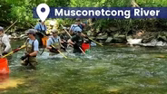 Delaware Watershed: The Highlands' Musconetcong River