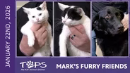 1/22/2026 | Trevor, Jarrod and Kodiak | Mark's Furry Friends