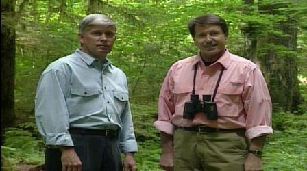 Video thumbnail: NatureScene Mt. Saint Helens (1995)