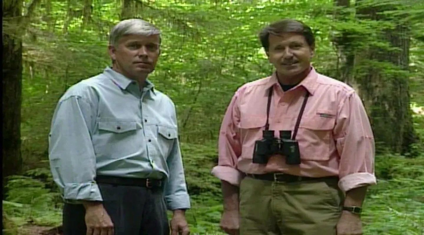 Mt. Saint Helens (1995)