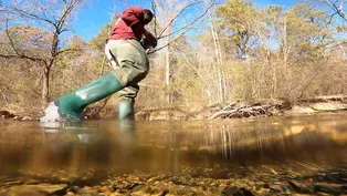 Protecting our watersheds