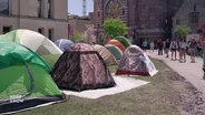 UW-Madison Students, Staff React to Gaza Protests on Campus