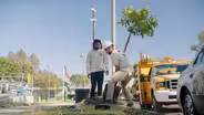 Combating Climate Change with Trees