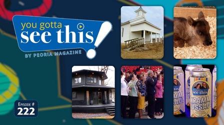 Video thumbnail: You Gotta See This! By Peoria Magazine New Americans | Spooky inn | Baby reindeer