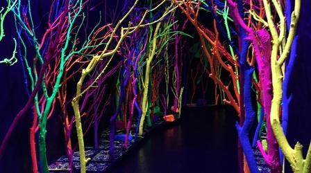 Video thumbnail: PBS NewsHour How this artist fantasyland became a New Mexico moneymaker