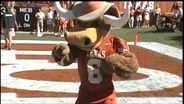 UT's Mascot