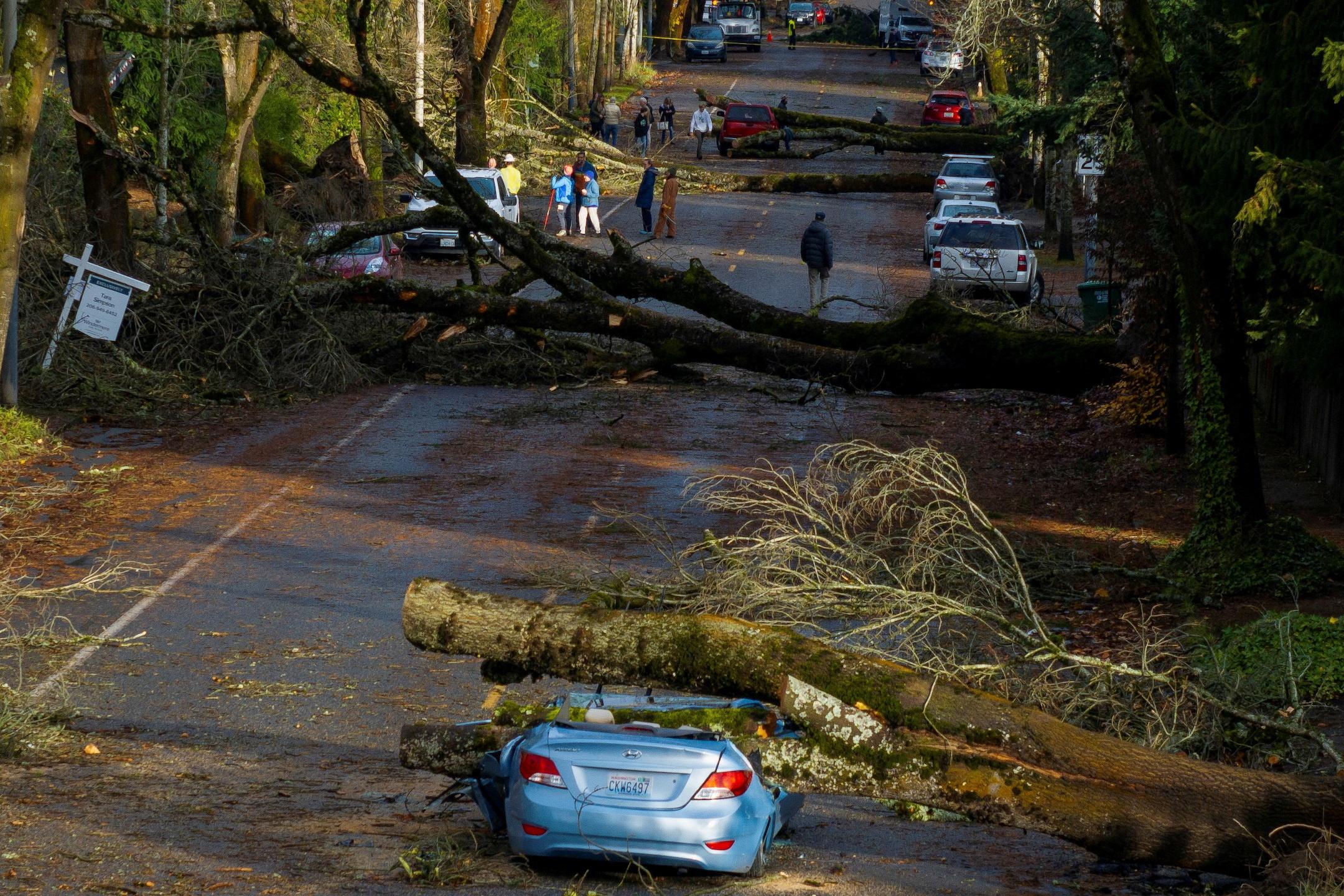 News Wrap: Pacific Northwest cleaning up after 'bomb cyclone'