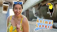 3 animal-loving places in Connecticut to get your furry or scaly fix