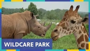 New Safari Park Coming to St. Louis in 2027