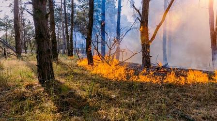 Video thumbnail: New Mexico In Focus U.S. Senator Martin Heinrich on Climate Change and Wildfires